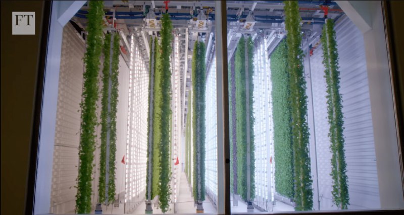 这部纪录片我很喜欢，讲食品安全和农业的