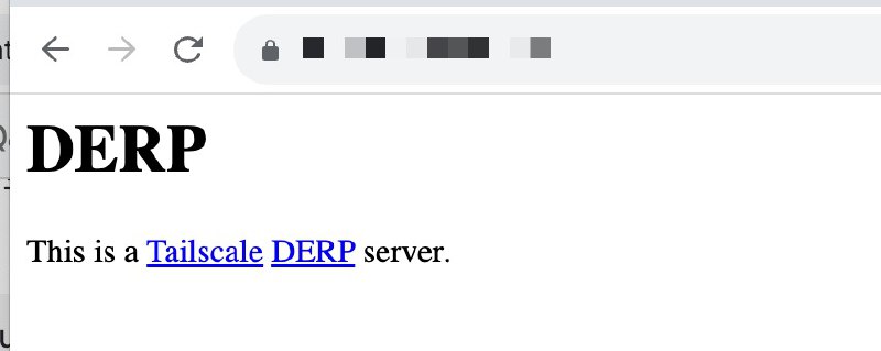 各位如果最近抢了国内的廉价 VPS 不知道拿来干嘛，可以考虑跑一个 tailscale derper 做境内中转