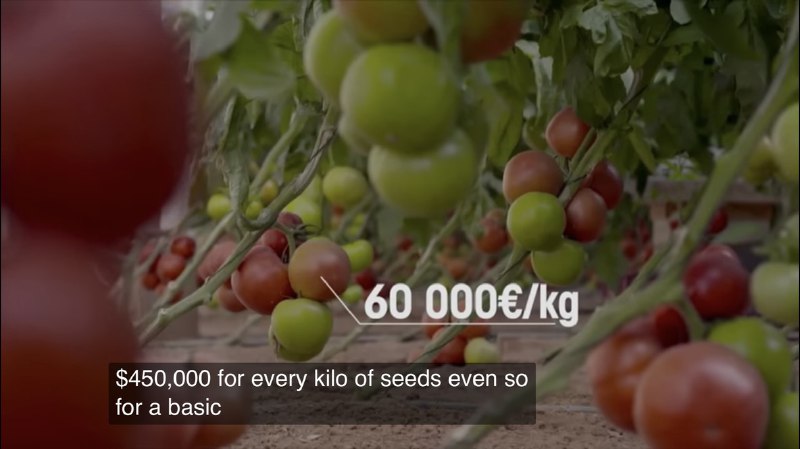 《Industry Scandal: The Loss Of Nutrients》，一部很有趣的关于农业的纪录片，人们只关心作物的产量，使得专注于研究标准化高产杂交作物的大型种子公司逐渐垄断了全球的作物种子，它们以超乎想象的高价向全球出售标准化的高产作物种子，赚取丰厚的利润